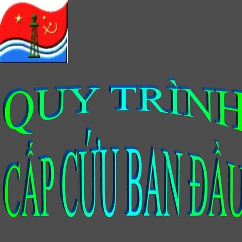 Quy trinh So cap cuu rất hữu ích cho người học.ppt