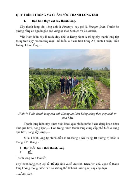 QUY TRÌNH TRỒNG VÀ CHĂM SÓC THANH LONG EMI.pdf