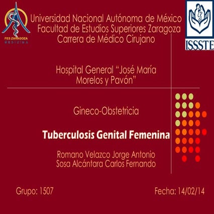 Tuberculosis Genital