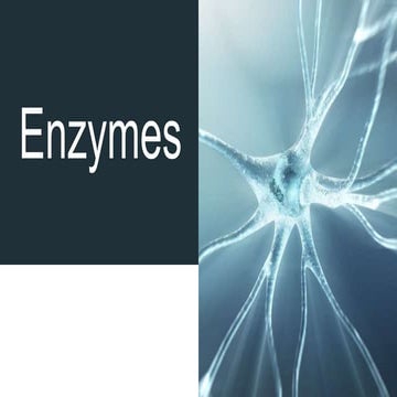 enzymes.pptx