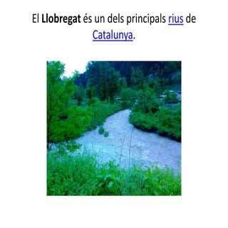 R. Llobregat