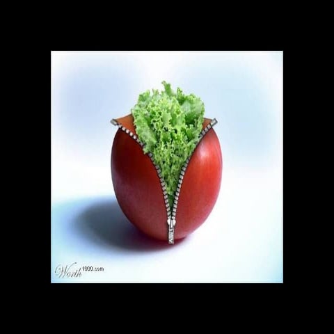 [R Mortimer] Ziper Surrealismo