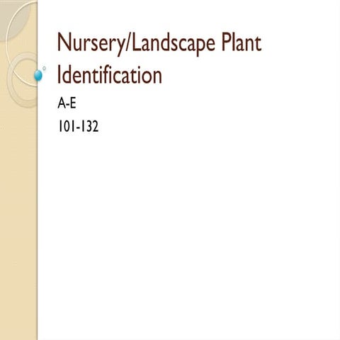 R-Nursery-Plant- ornamental horticulture