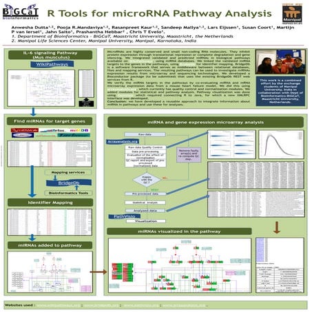 R tools for micro-RNA pathway analysis