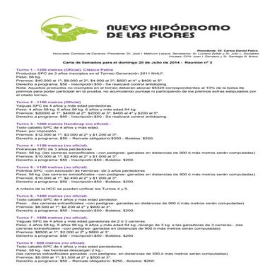 R03 20 de julio de 2014 patria corr final