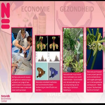 R2 w7 workshop naturalis1_sia-congres301116