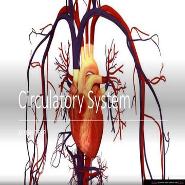 Circulatory system for Class 8