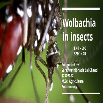 Wolbachia in insects: Biology, transmission, Casestudies