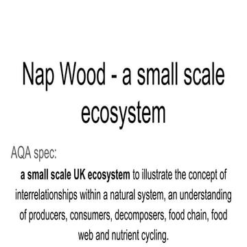 AQA GCSE  geography the living world: Nap Wood, an ecosystem