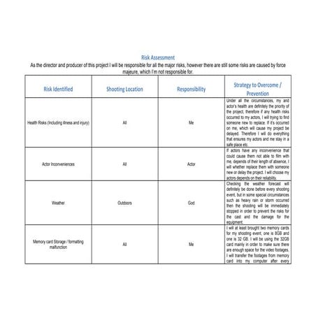 Risk assessment | DOCX