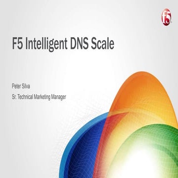 F5 Intelligent DNS Scale