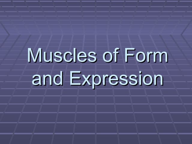 Ra   lecture - muscles of the face