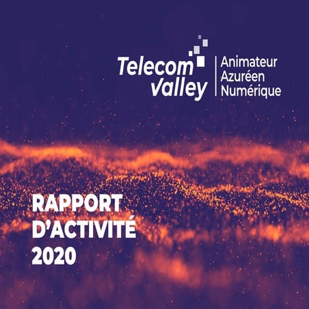 Rapport d'activité Telecom Valley 2020