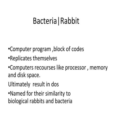 Raabit and bacteria