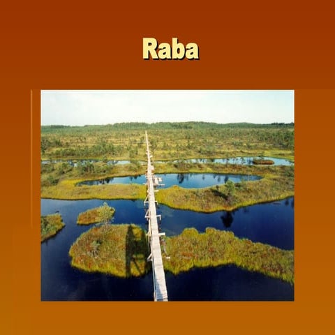 Rabaöko | PPT