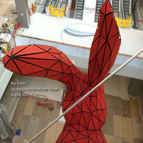 Sacramento Airport Rabbit