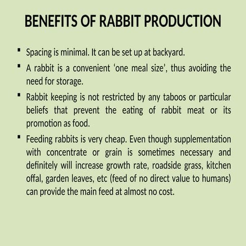 Rabbit (4) - Copy st5tujmdsdthjuhkjnhaASDFUJ | PPT