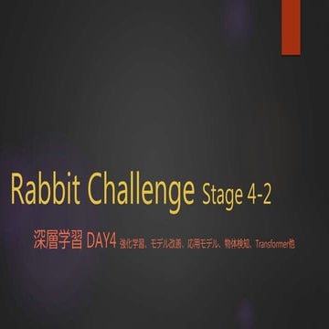 Rabbit challenge 6_dnn4
