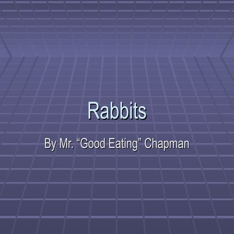 Rabbits