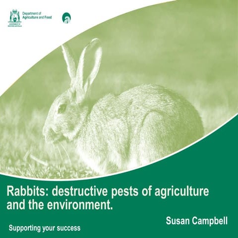 Rabbits Destructive Pests of Agriculture and the Environment | PDF