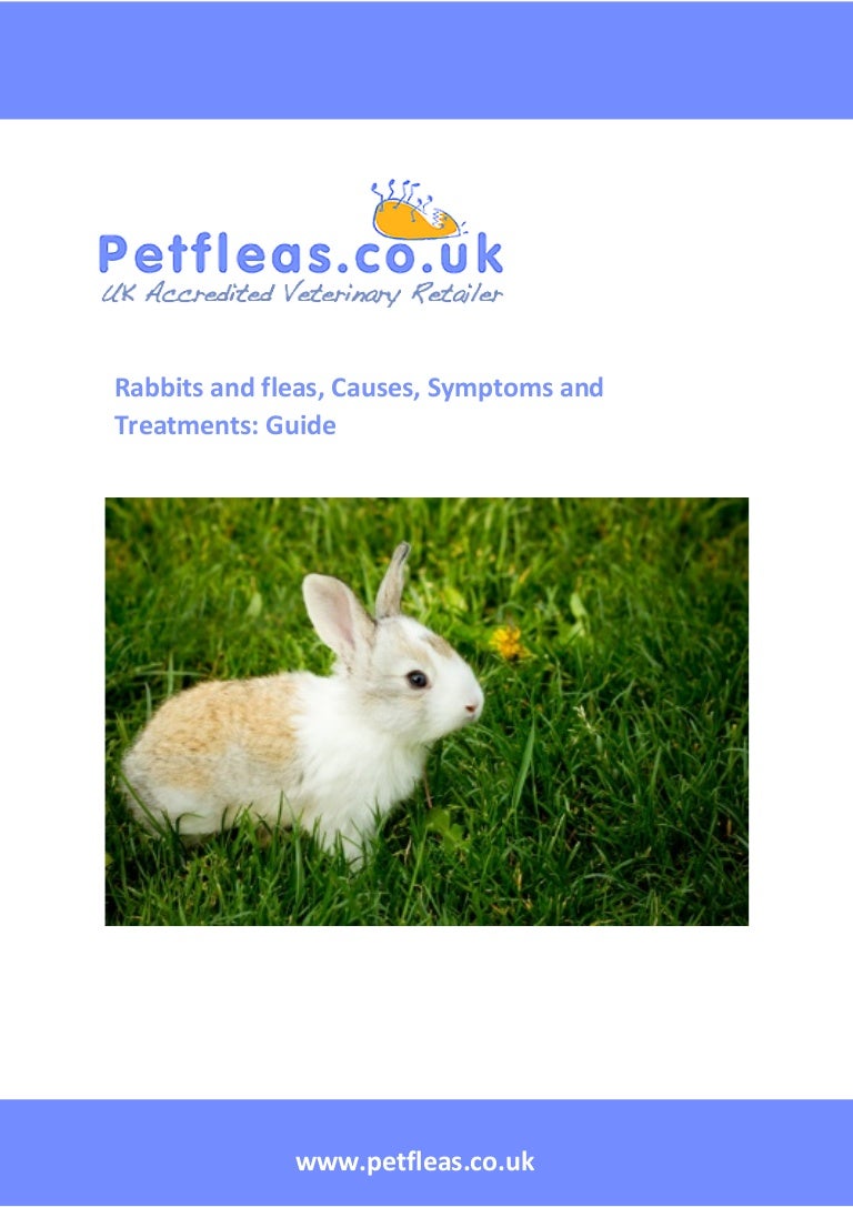 rabbit flea treatment uk