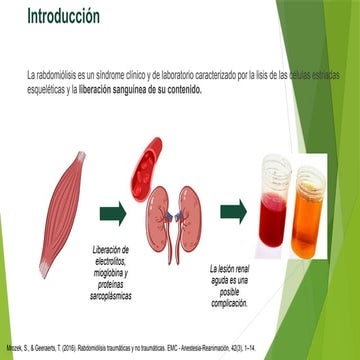 Rabdomiólisis Pediátrica: Diagnóstico, Fisiopatología y Manejo Clínico ...