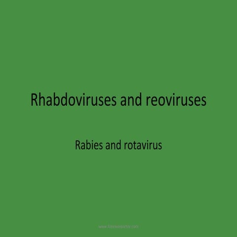 Rabdo Rota Virus