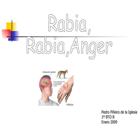 presentacion de rabia en humanos y prevencion.pptx