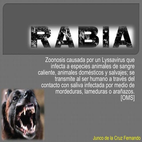 Rabia | PPSX