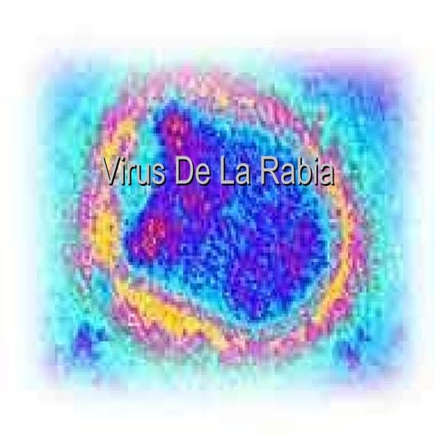Virus de la Rabia