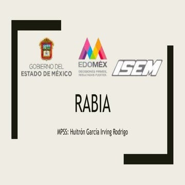 RABIA PRESENTACION CON BASE A EPIDEMIOLOGIA | PPTX