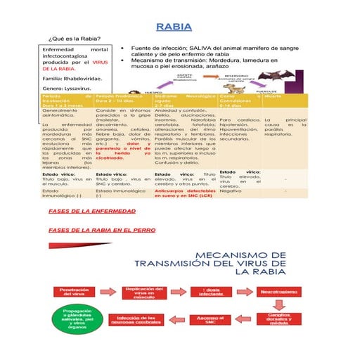 CASO CLINICO RABIA.pptx