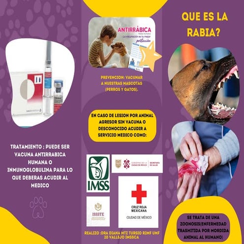 rabia-3.pdf LA RABIA TRIPTICO DESDE UNA UMF INFORMATIVO A POBLACION ...