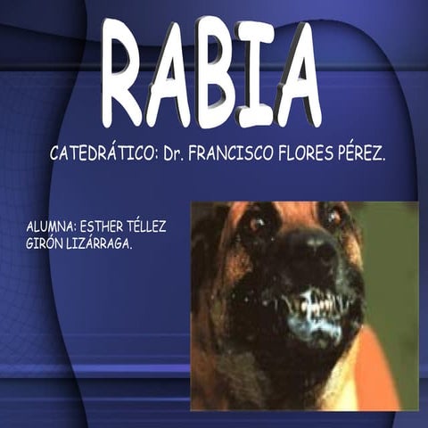 Rabia (2) | PPT