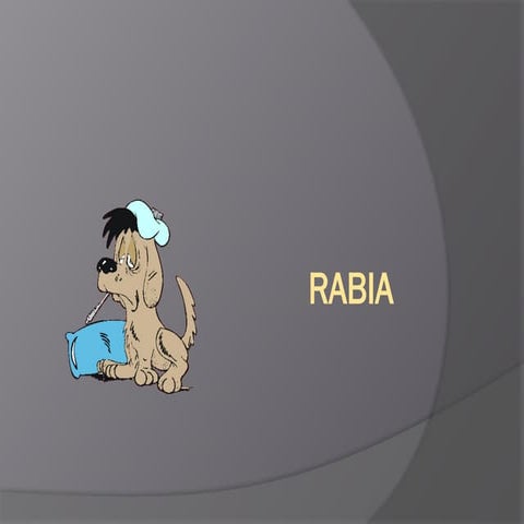 Rabia.pptx