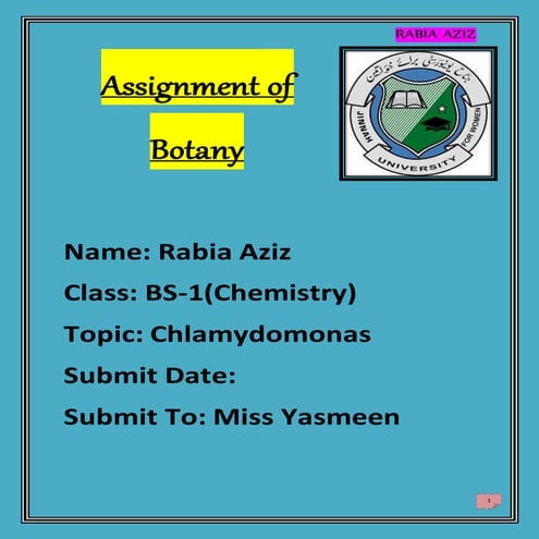  Chlamydomonas Assignment