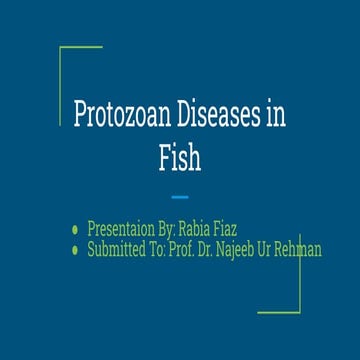 Rabia Fiaz.pdf