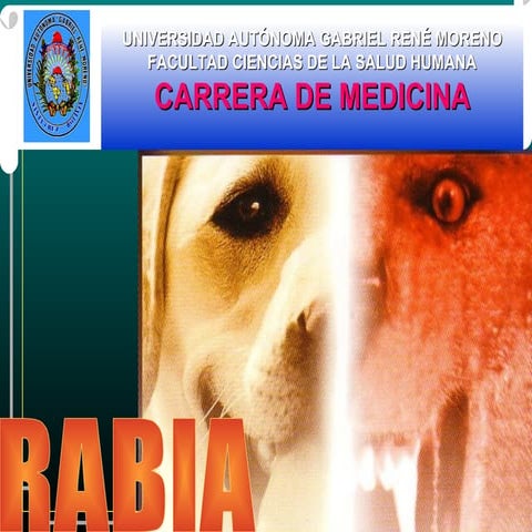 Anexo 2. Esquema de Vacunación Antirrábica REV.pptx