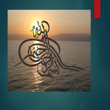 Rabia prestation.pptx