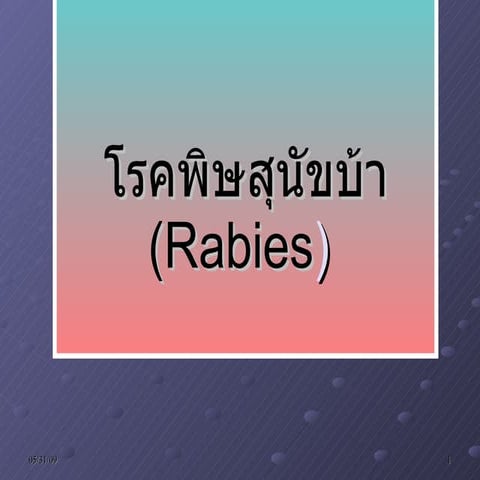 Rabies | PPT