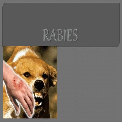 Rabies | PPTX