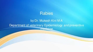 Rabies in humans image