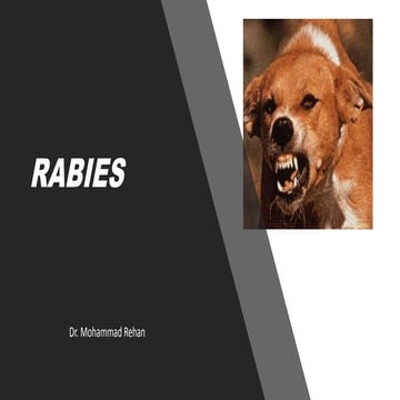 National rabies guidelines | PDF