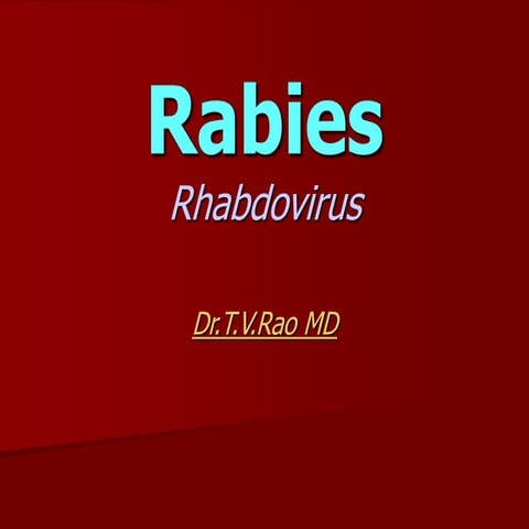 RABIES (RHABDOVIRUS)