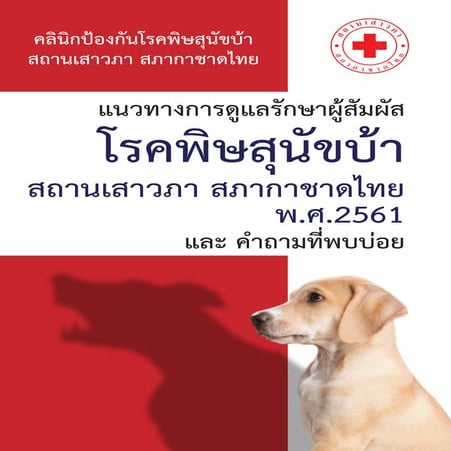 แนวทางการดูแลรักษาผู้สัมผัสโรคพิษสุนัขบ้า 2561 | PDF