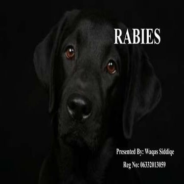 Rabies - final.pptx