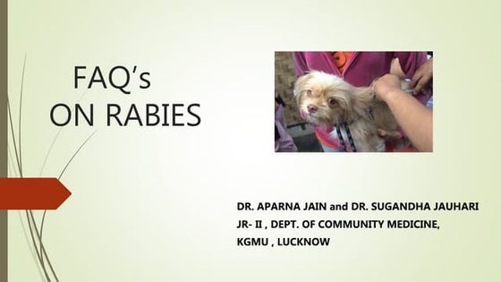 Rabies | PPT