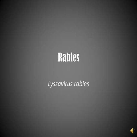 Rabies project | PPTX