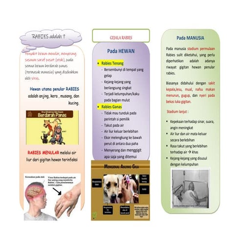 508567664-Leaflet-Rabies.docxa anjing gila | DOCX