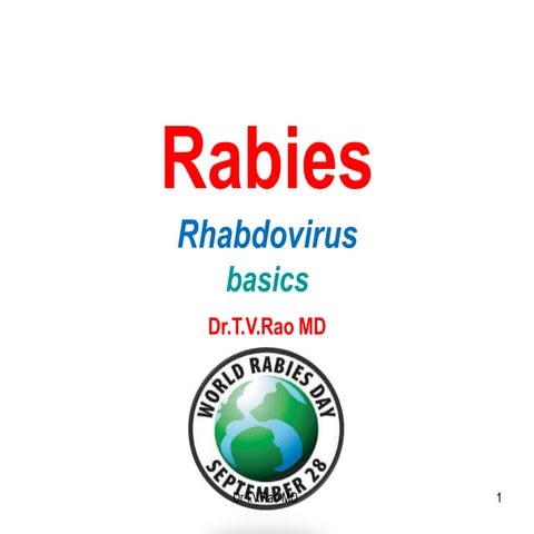 rabiesteaching.pptx